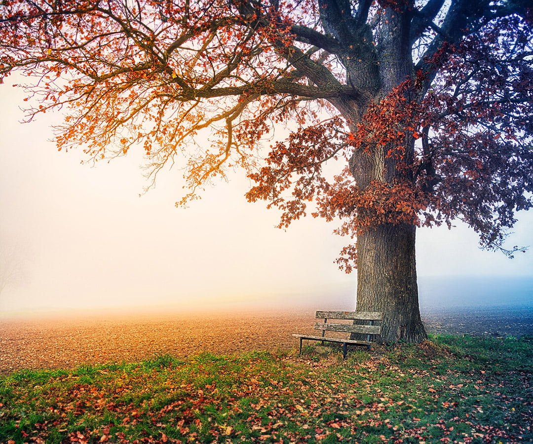 организация похорон в Москве